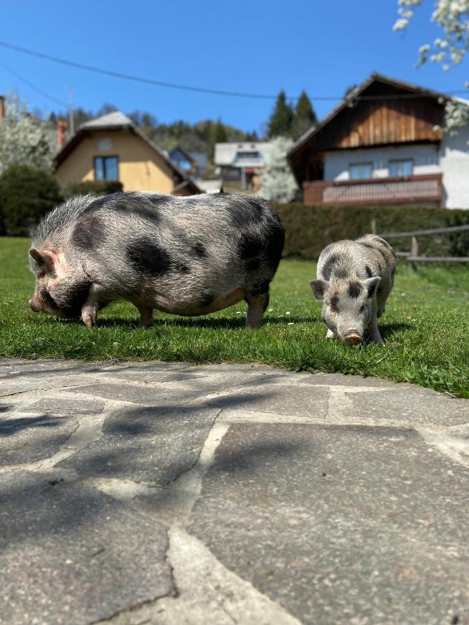 ブレッド ツーリストファーム 「Pri Biscu」ヴィラ エクステリア 写真